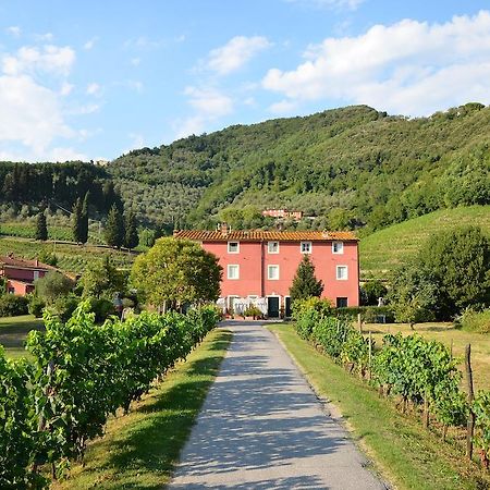 Agriturismo Le Murelle 루카 외부 사진