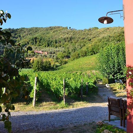 Agriturismo Le Murelle 루카 외부 사진
