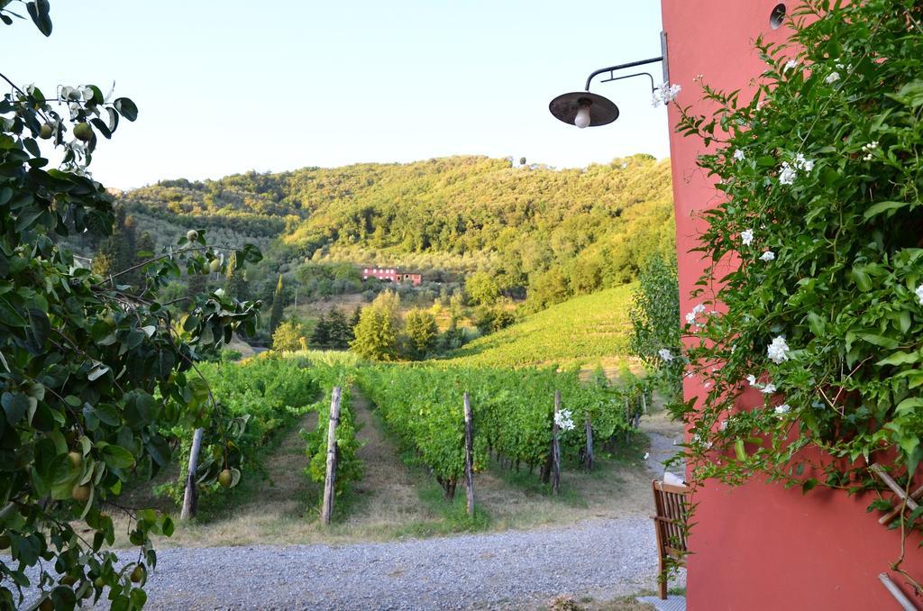 Agriturismo Le Murelle 루카 외부 사진