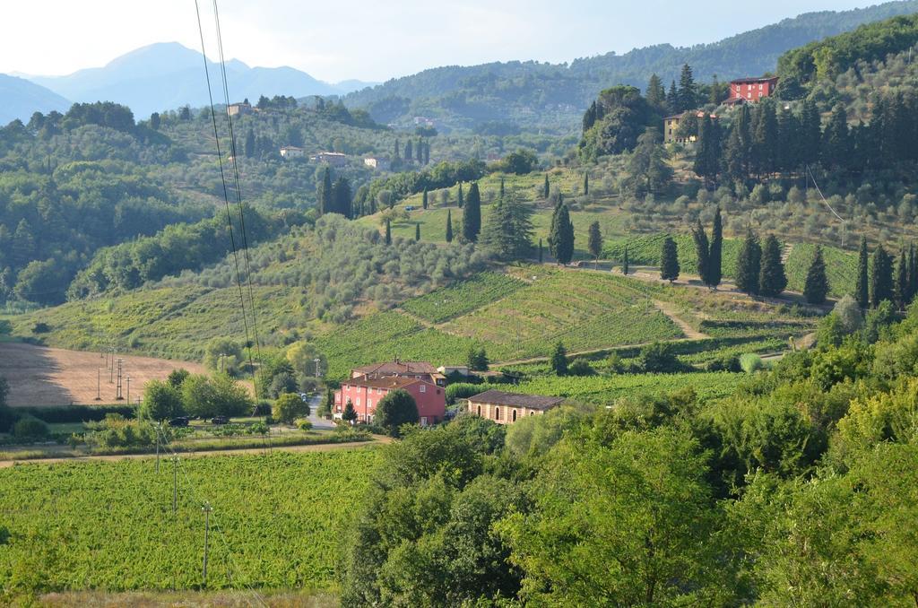 Agriturismo Le Murelle 루카 외부 사진