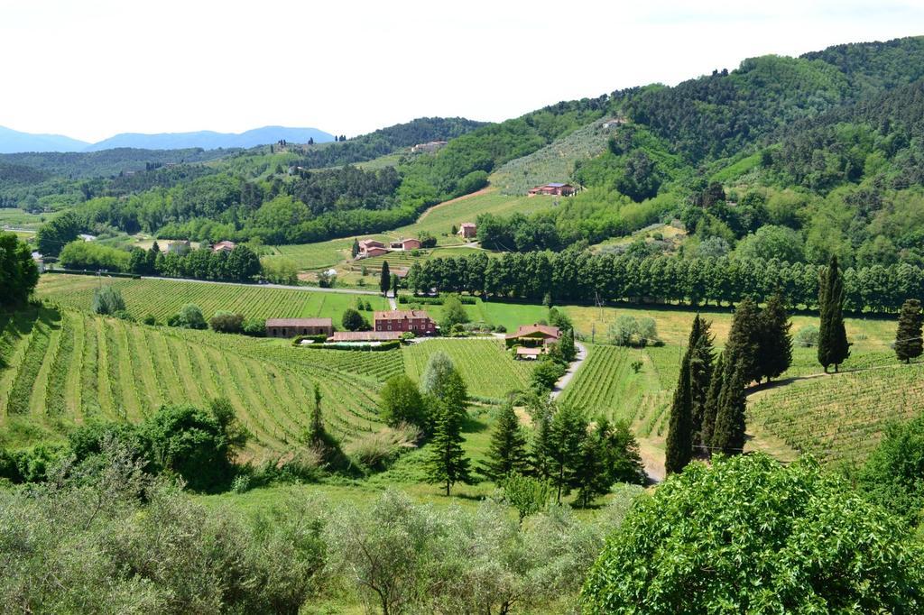 Agriturismo Le Murelle 루카 외부 사진
