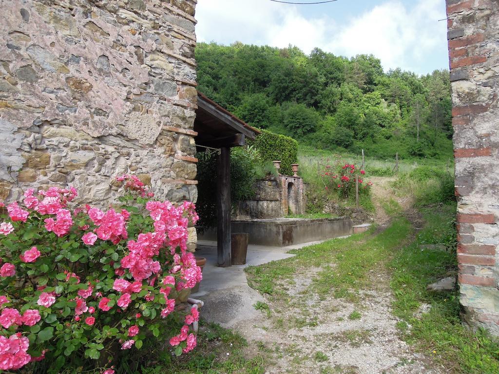 Agriturismo Le Murelle 루카 외부 사진