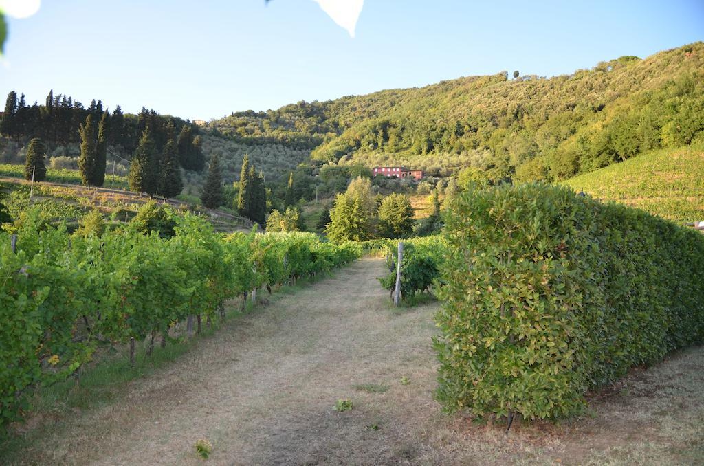 Agriturismo Le Murelle 루카 외부 사진